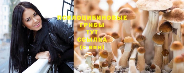 СК Покачи