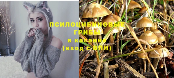 гашик Покров
