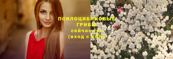 СК Покачи