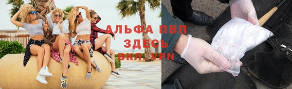 СК Покачи