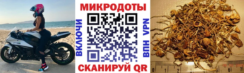 мега зеркало  Ардон  Галлюциногенные грибы мухоморы  где можно купить  